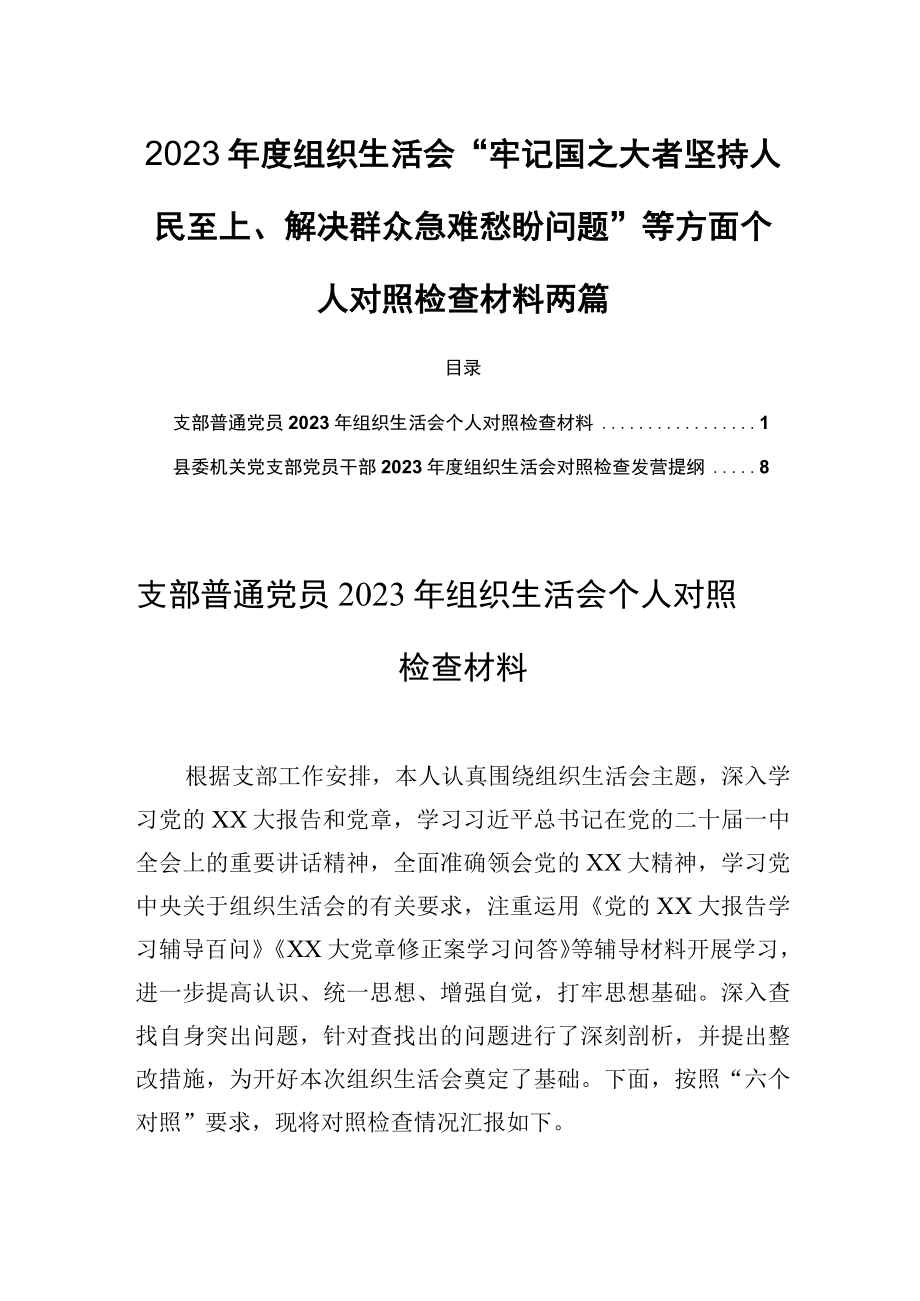 2023年度组织生活会牢记国之大者坚持人民至上解决群众急难愁盼问题等方面个人对照检查材料两篇.docx_第1页