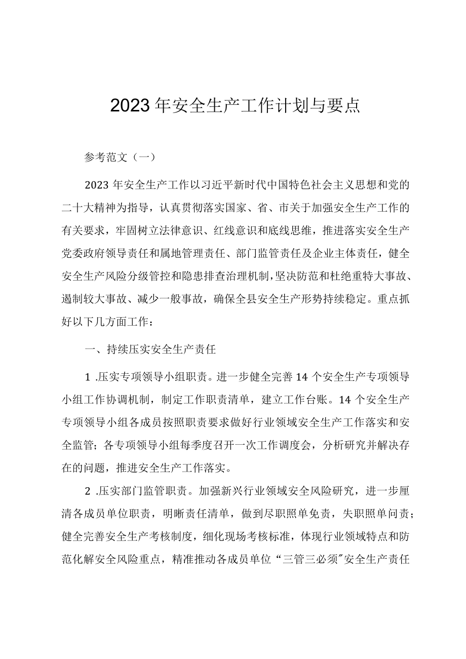 2023年安全生产工作计划与要点.docx_第1页