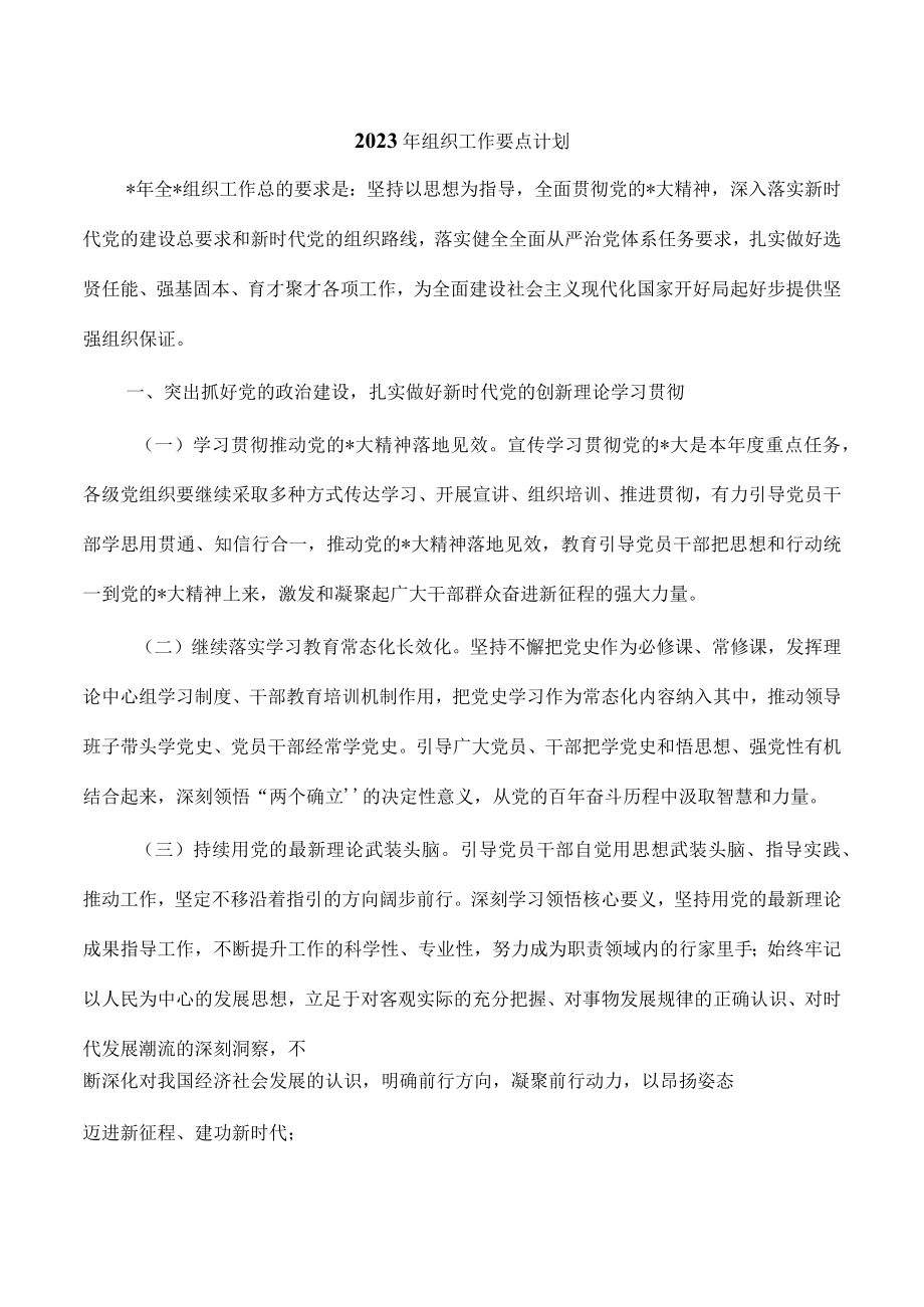 2023年组织工作要点计划.docx_第1页