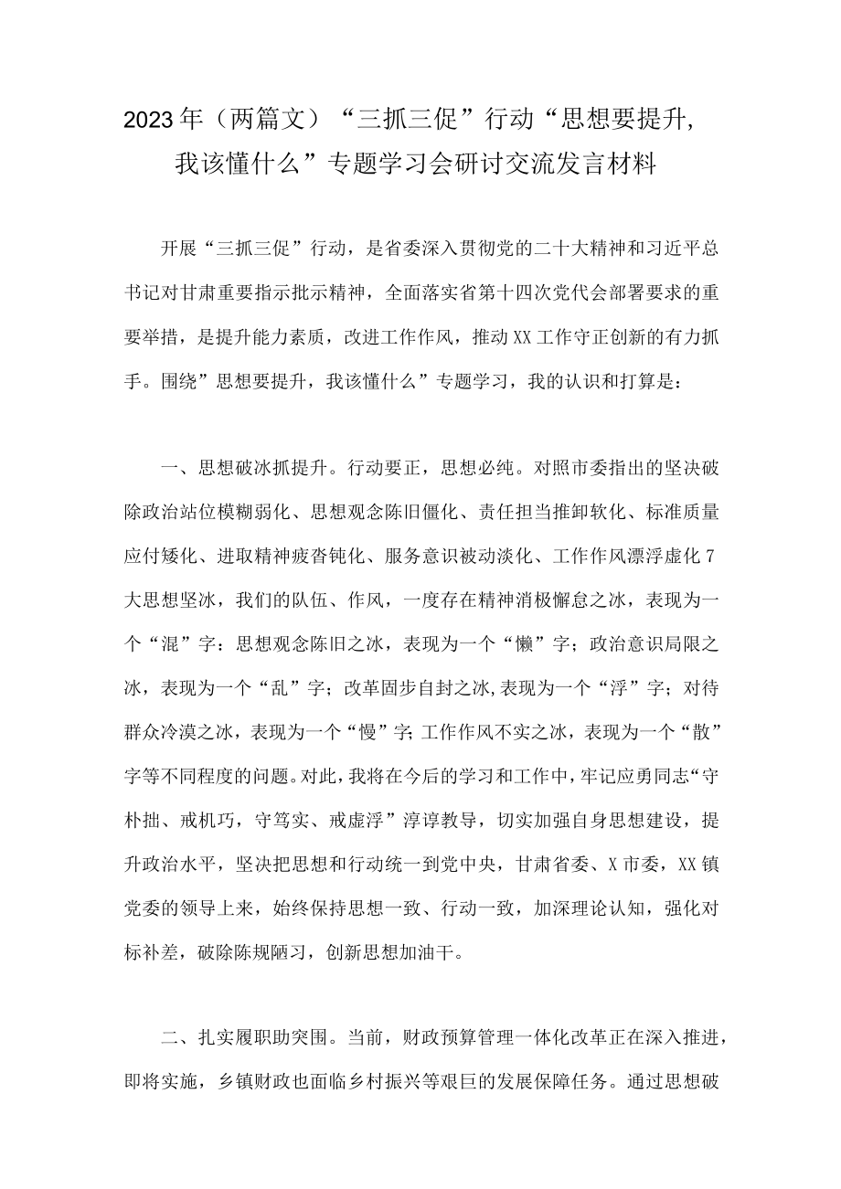 2023年（两篇文）三抓三促行动思想要提升我该懂什么专题学习会研讨交流发言材料.docx_第1页