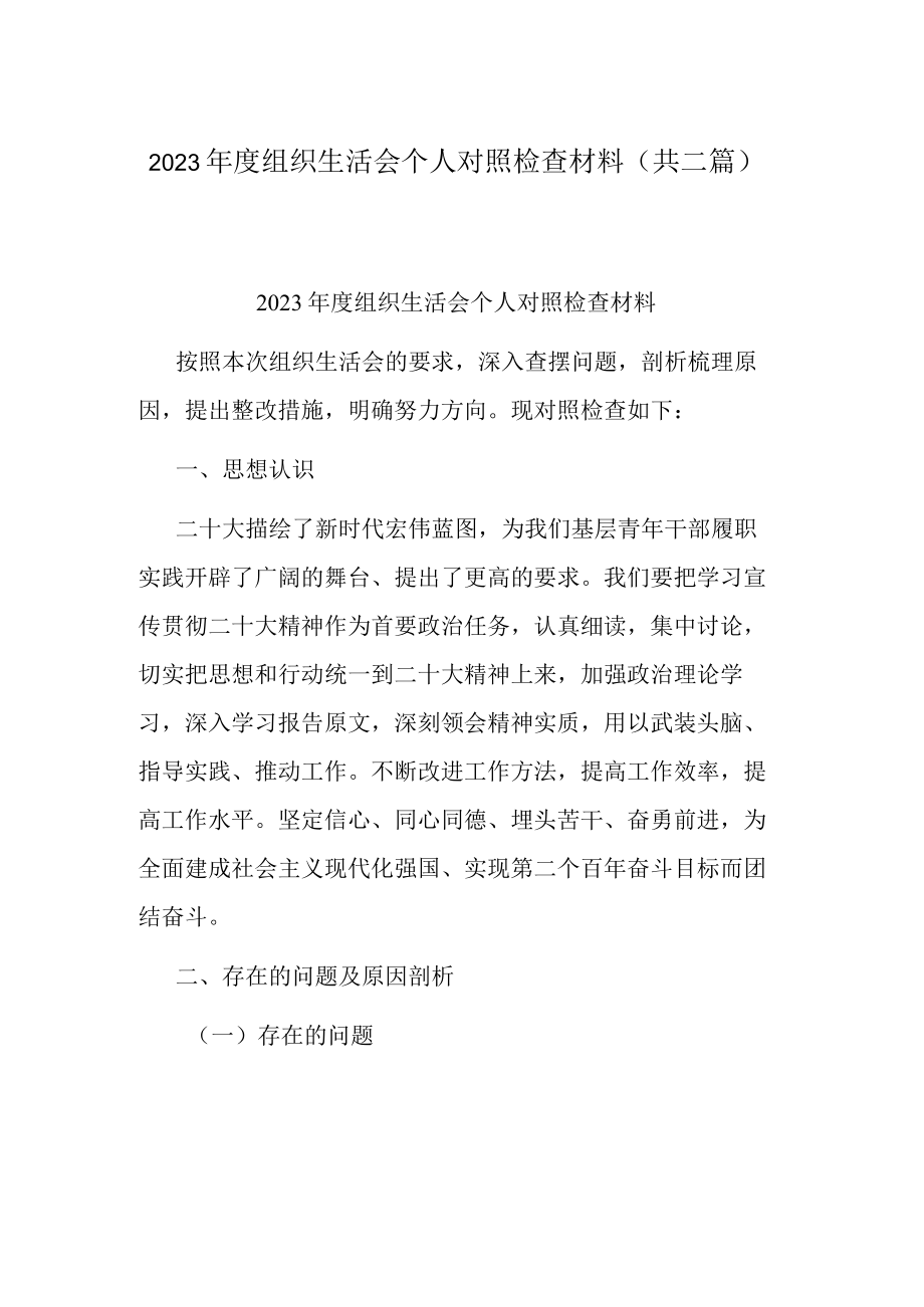 2023年度组织生活会个人对照检查材料(共二篇).docx_第1页