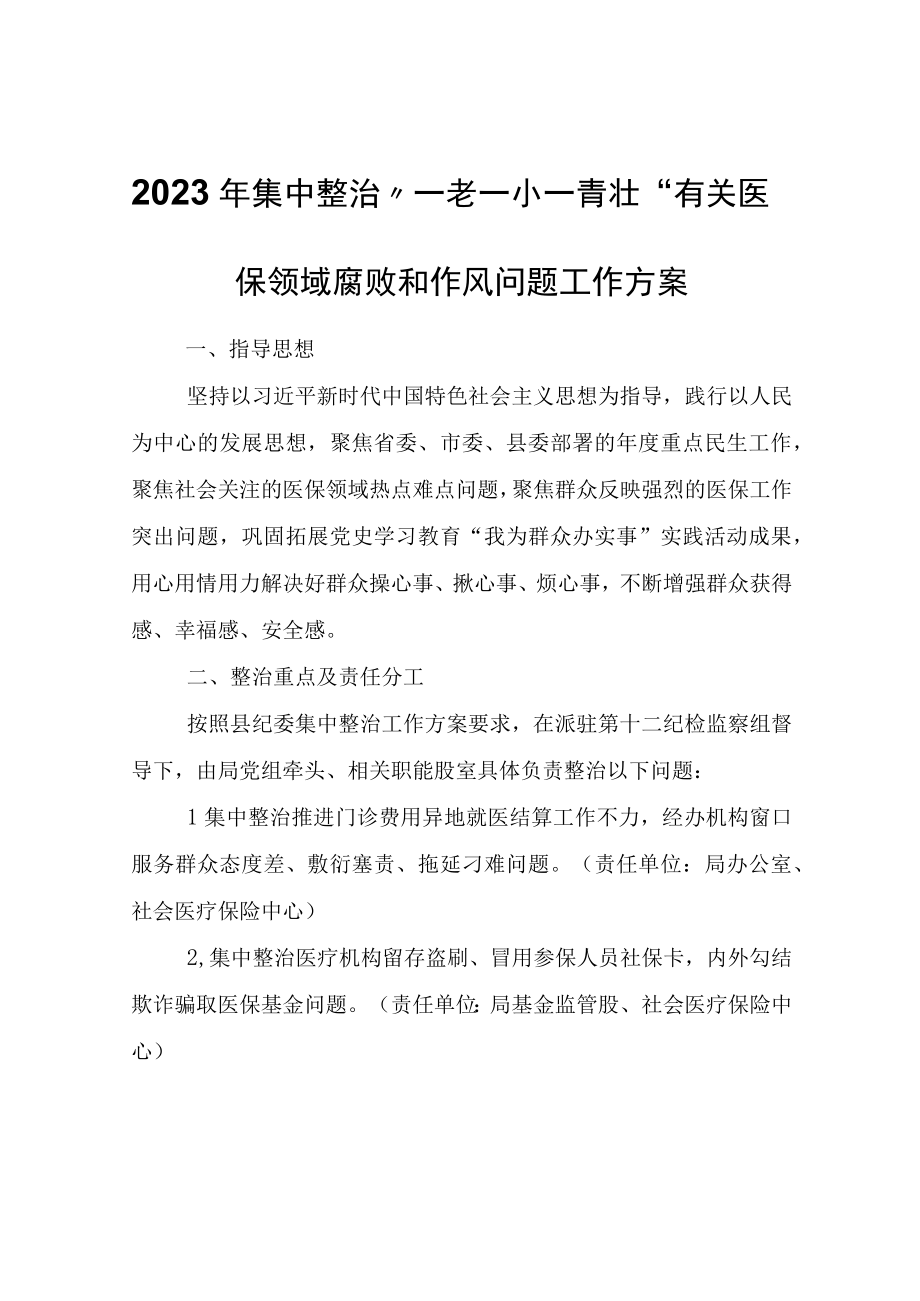 2023年集中整治一老一小一青壮有关医保领域腐败和作风问题工作方案.docx_第1页