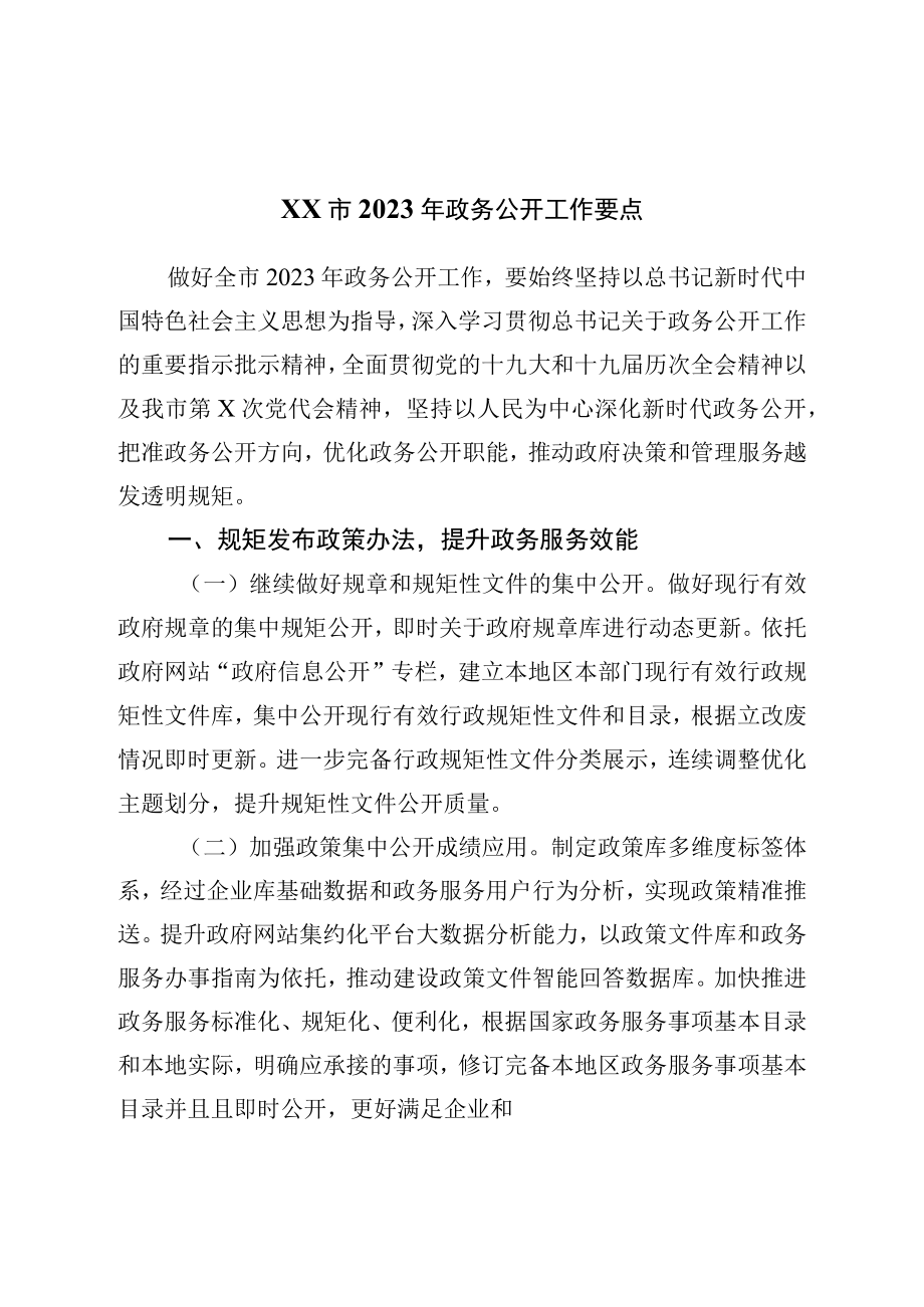 2023年政务公开工作要点.docx_第1页