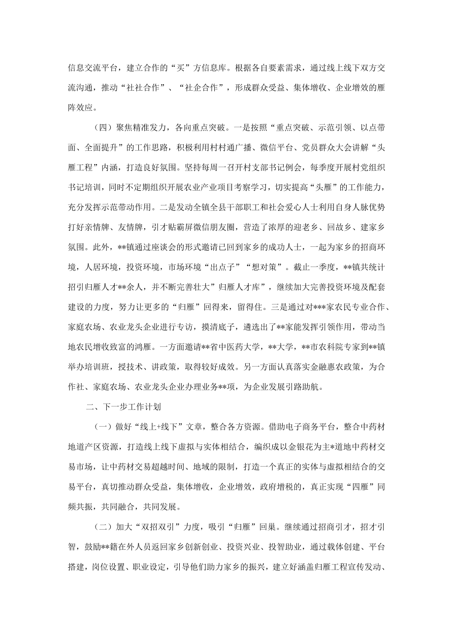 2023年第一季度四雁工程工作总结（镇乡）.docx_第2页