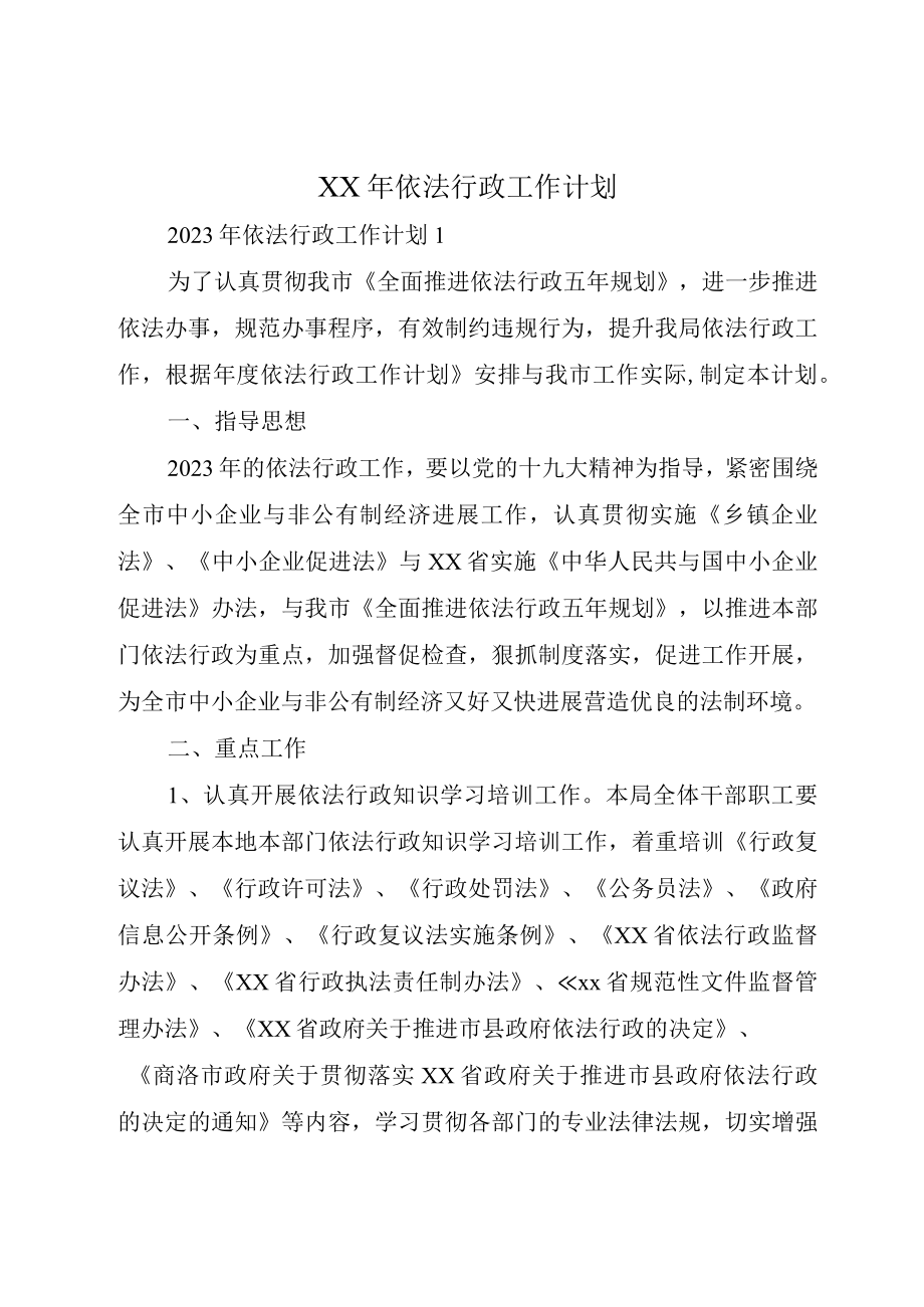 XX年依法行政工作计划.docx_第1页