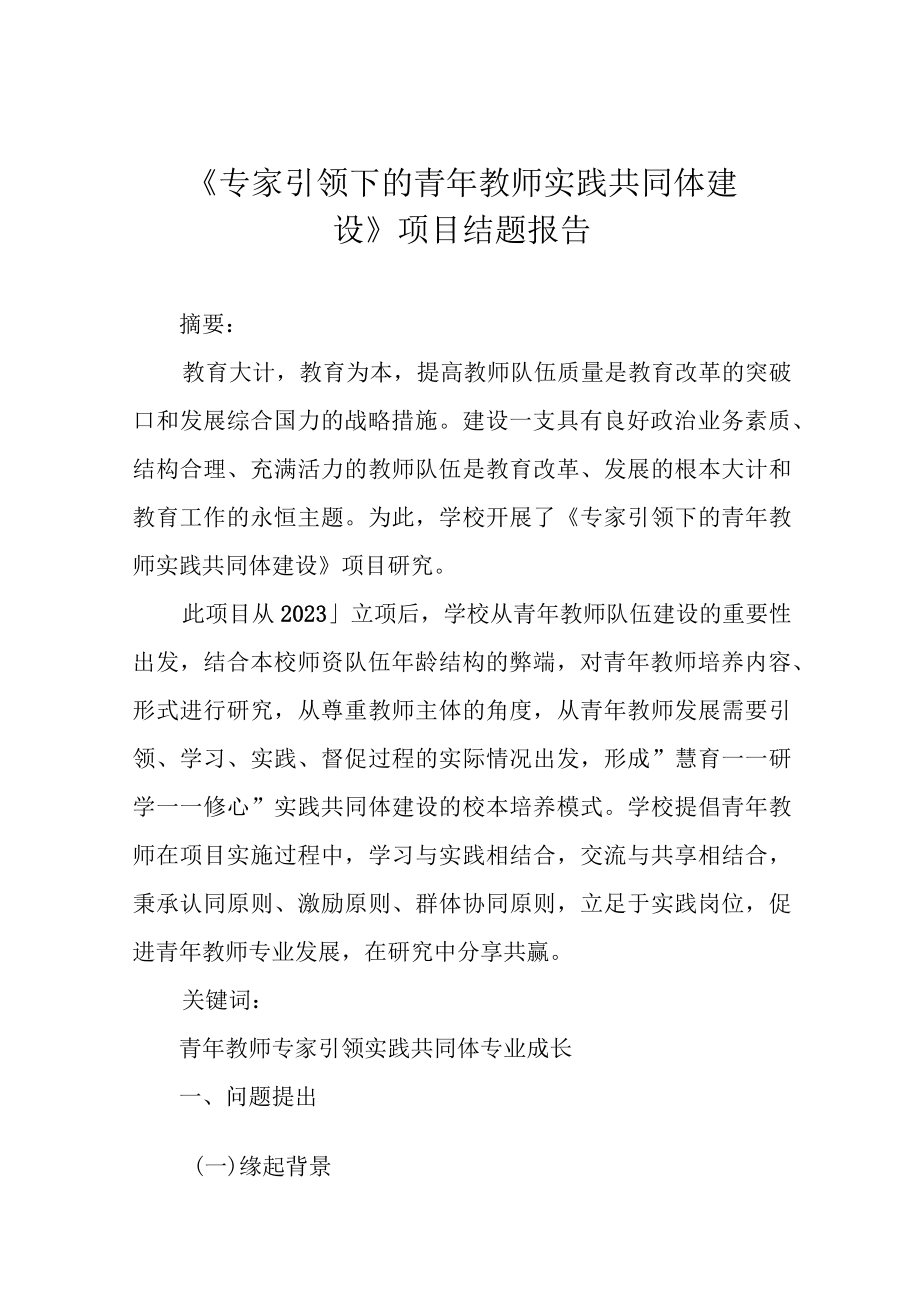 《专家引领下的青年教师实践共同体建设》项目结题报告.docx_第1页