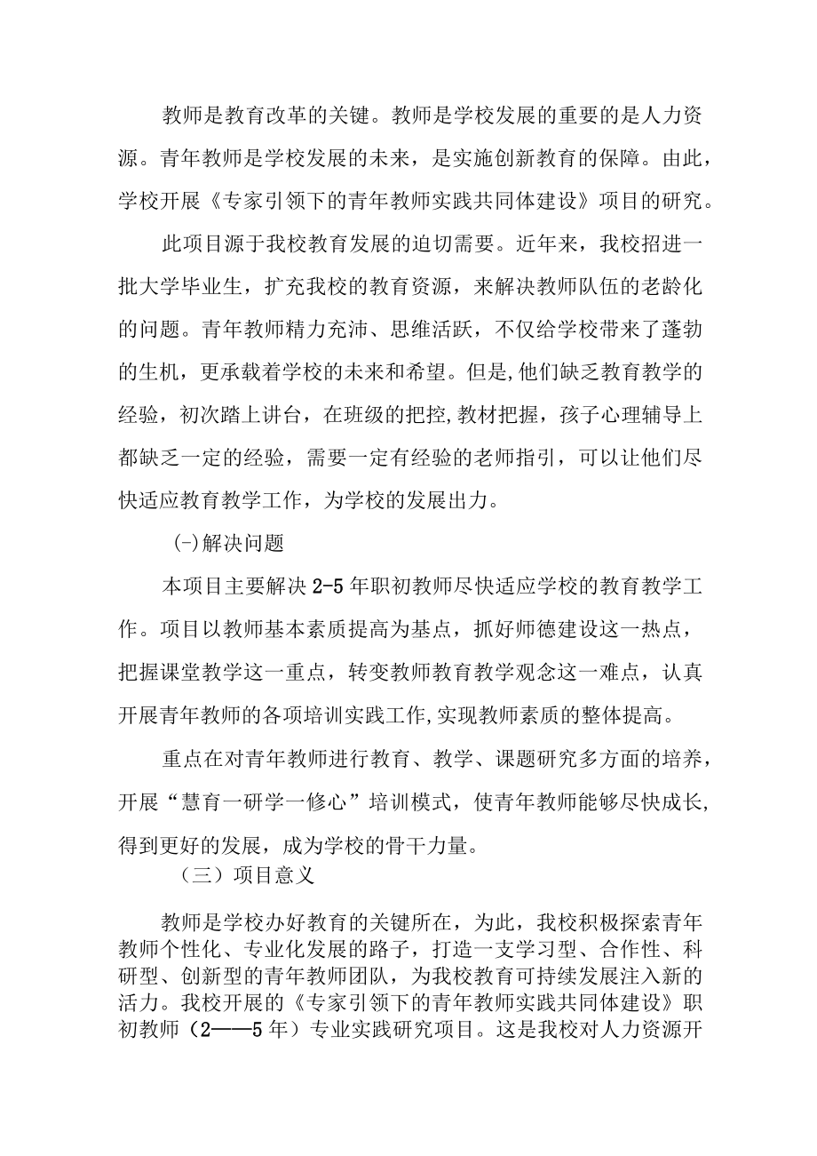 《专家引领下的青年教师实践共同体建设》项目结题报告.docx_第2页