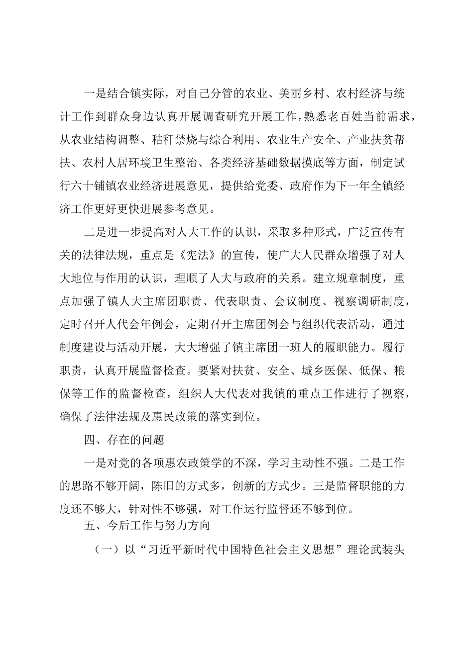 XX年乡镇人大主席述职述廉报告.docx_第2页