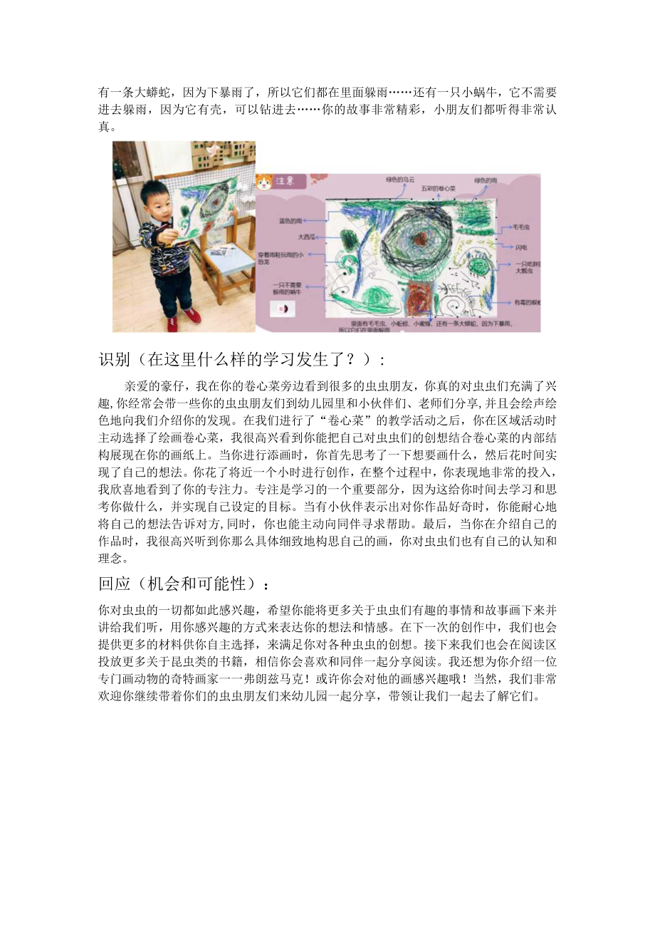 主题资源：《学习故事卷心菜和虫虫们》公开课教案教学设计课件资料.docx_第2页