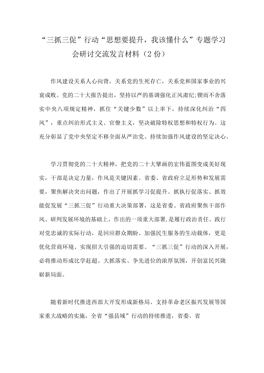 三抓三促行动思想要提升我该懂什么专题学习会研讨交流发言材料（2份）.docx_第1页