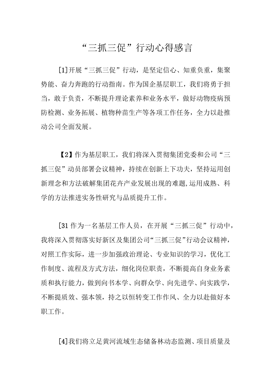 最新公文三抓三促行动心得感言.docx_第1页