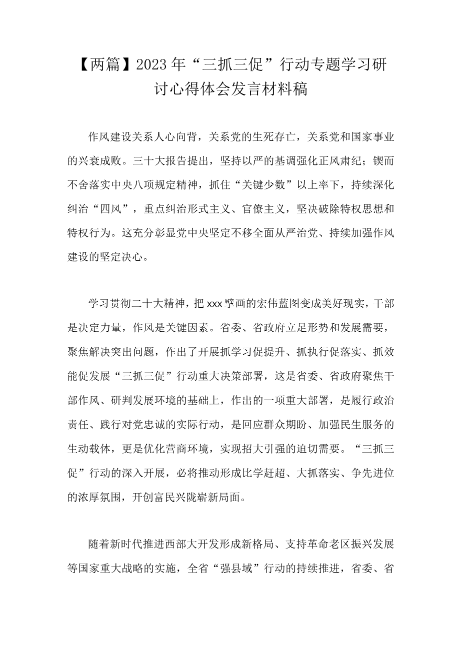 两篇2023年三抓三促行动专题学习研讨心得体会发言材料稿.docx_第1页