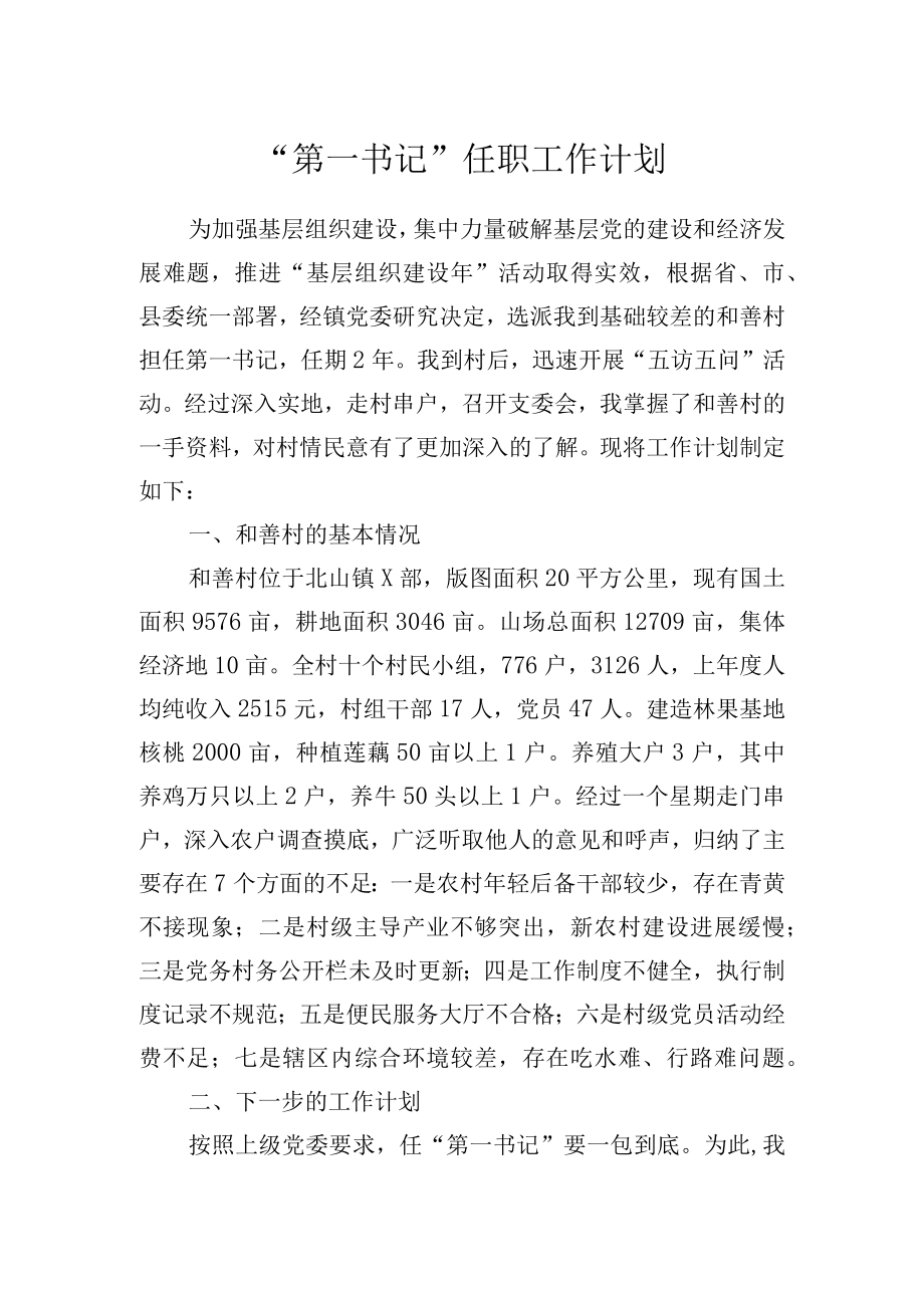 第一书记任职工作计划 (2).docx_第1页