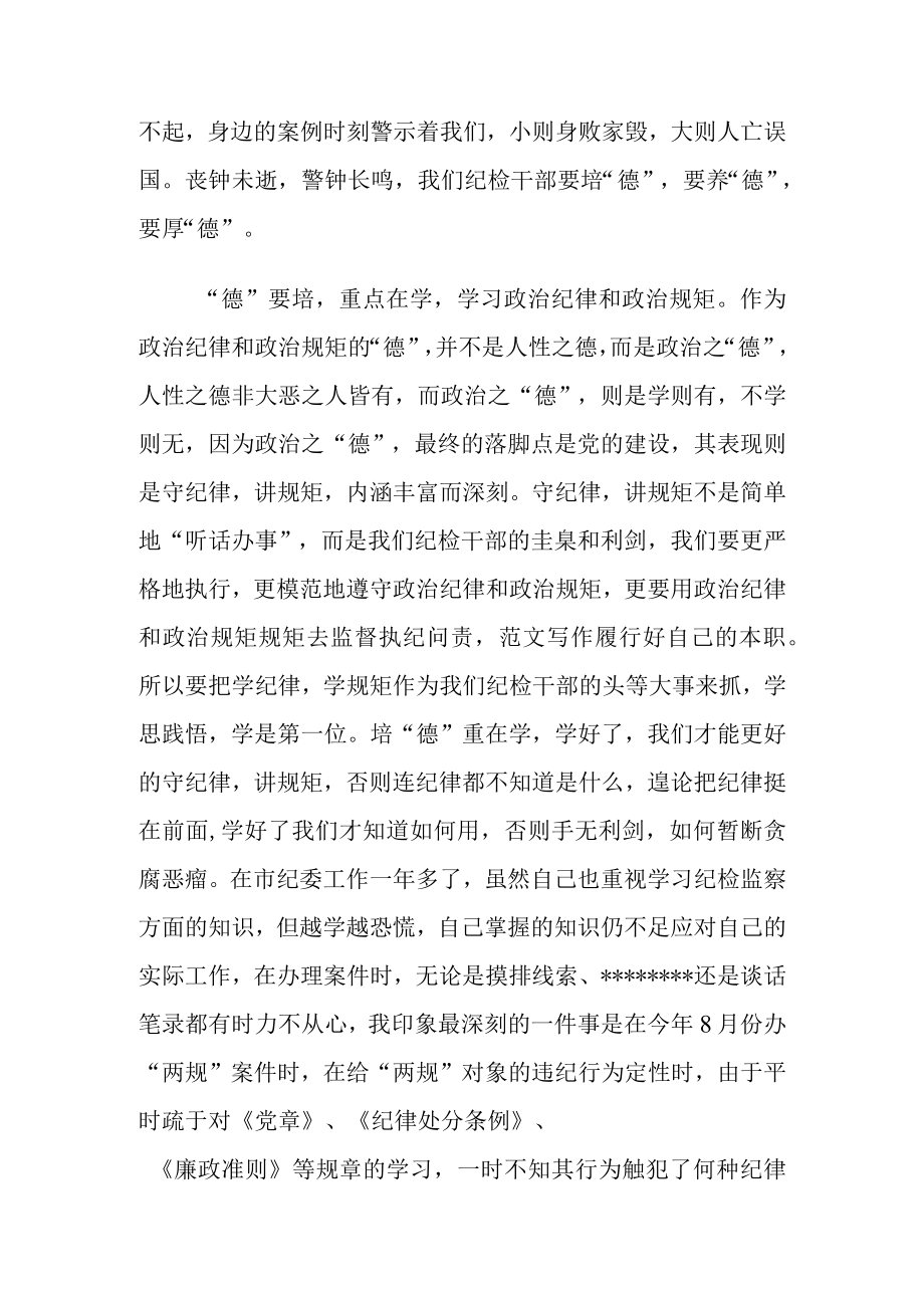 （3篇）纪检监察干部队伍教育整顿会议讲话发言材料.docx_第3页