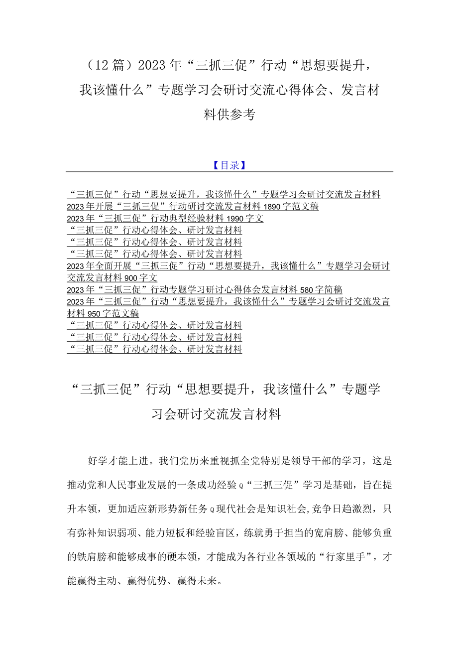 （12篇）2023年三抓三促行动思想要提升我该懂什么专题学习会研讨交流心得体会发言材料供参考.docx_第1页