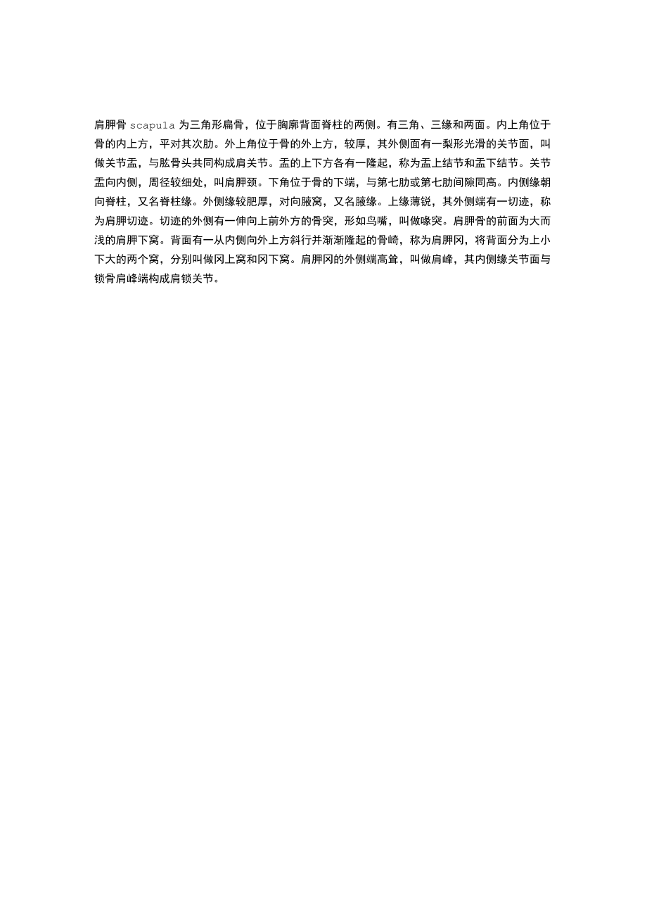 解剖指导：肩胛骨的结构与解剖简述.docx_第1页