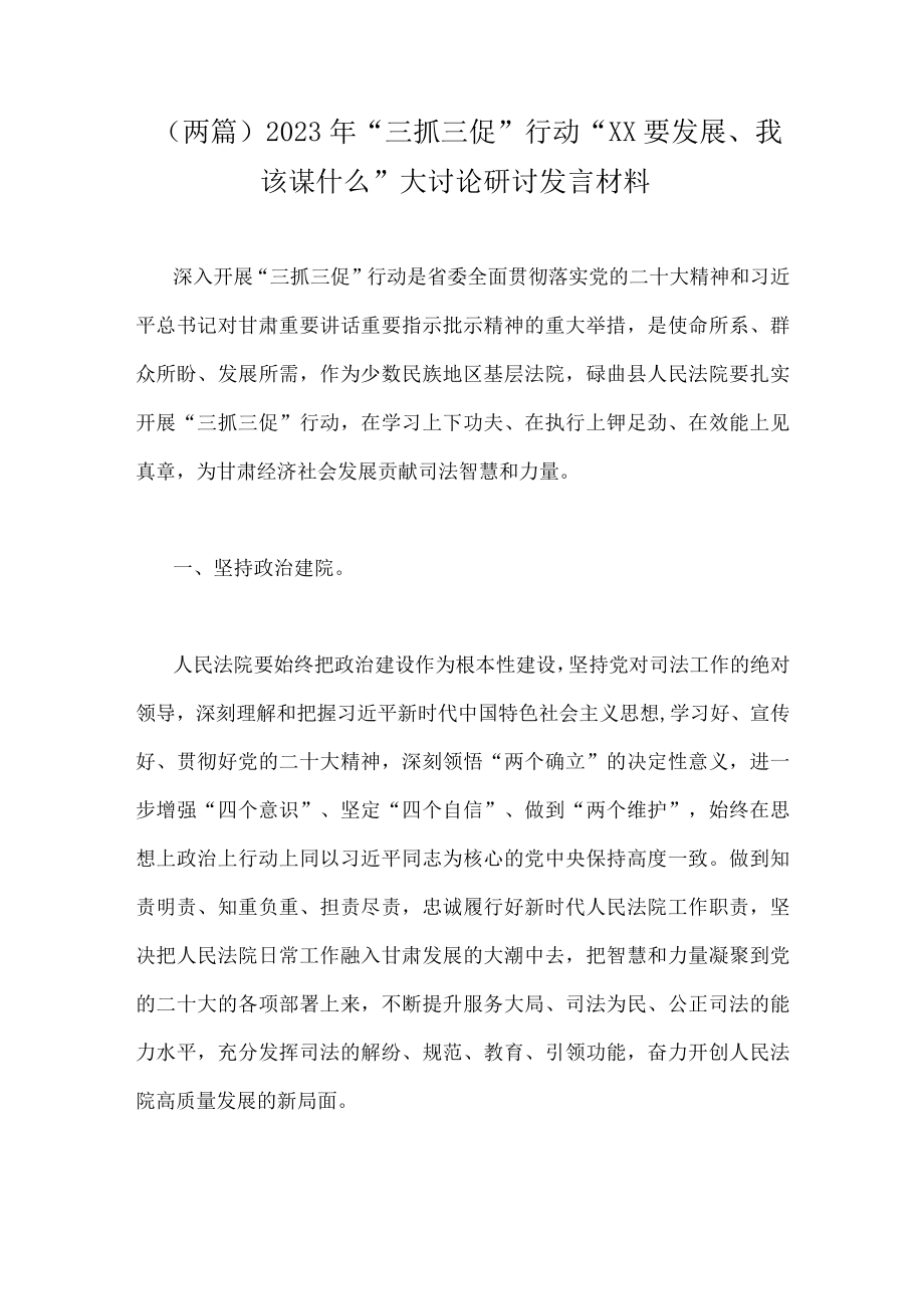 （两篇）2023年三抓三促行动XX要发展我该谋什么大讨论研讨发言材料.docx_第1页