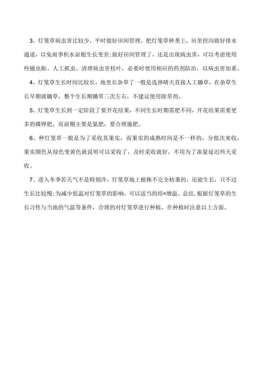 灯笼草的生长习性是什么种植时需要注意什么.docx_第2页