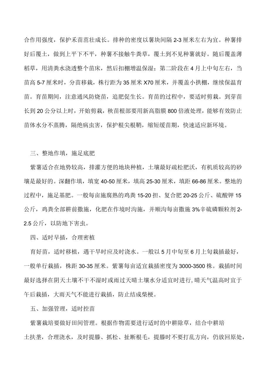 紫薯高产栽培管理要点.docx_第2页