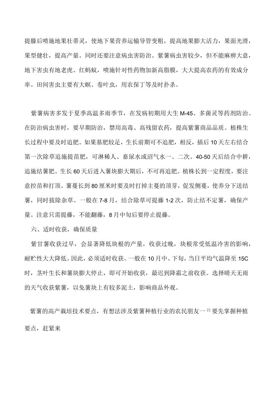 紫薯高产栽培管理要点.docx_第3页