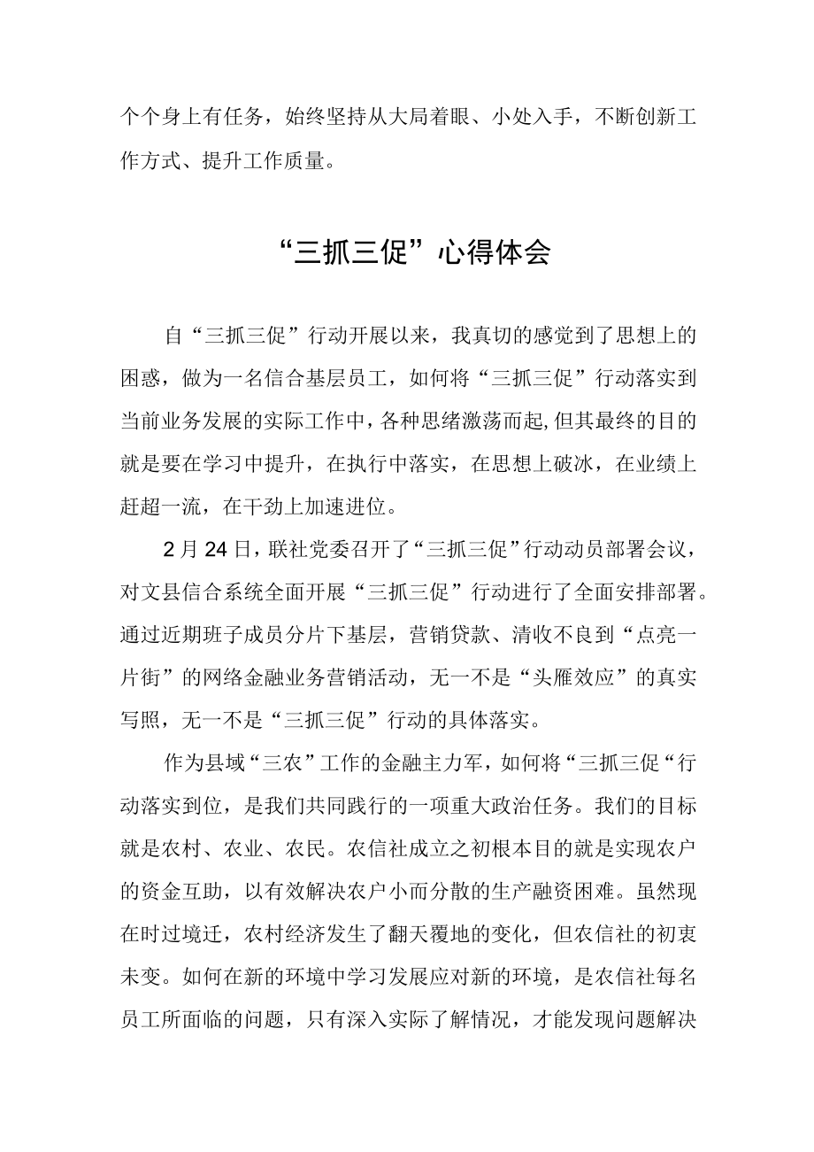 2023三抓三促行动学习体会五篇.docx_第2页