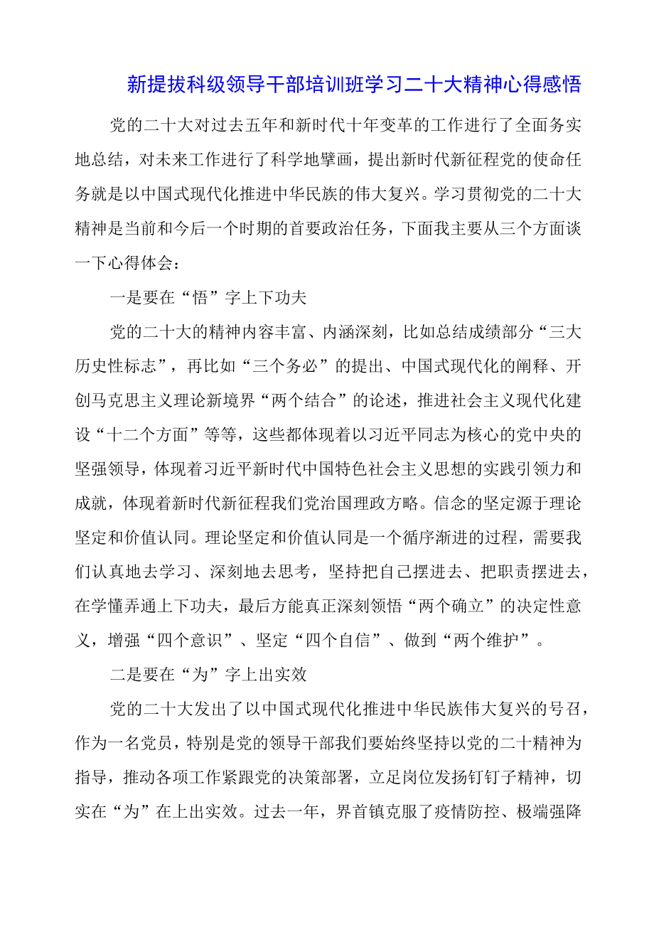 2023年新提拔科级领导干部培训班学习二十大精神心得感悟.docx_第1页