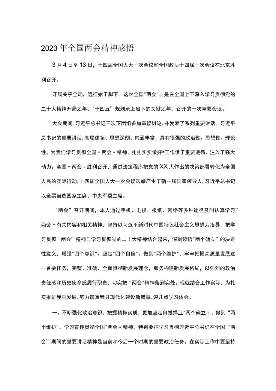 2023年全国两会精神感悟.docx_第1页