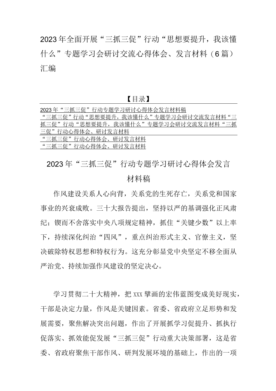 2023年全面开展三抓三促行动思想要提升我该懂什么专题学习会研讨交流心得体会发言材料（6篇）汇编.docx_第1页