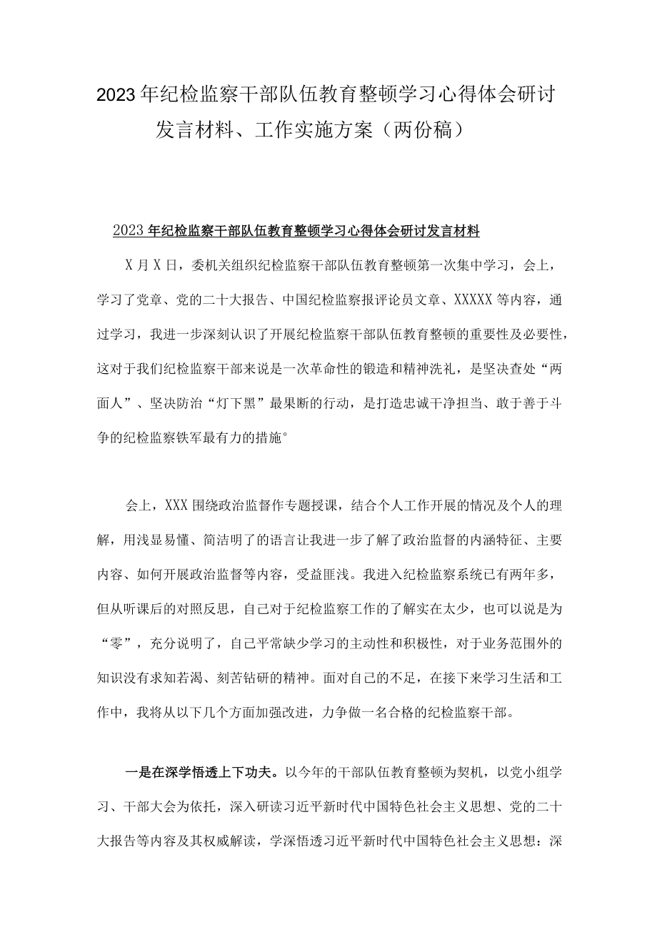 2023年纪检监察干部队伍教育整顿学习心得体会研讨发言材料工作实施方案（两份稿）.docx_第1页