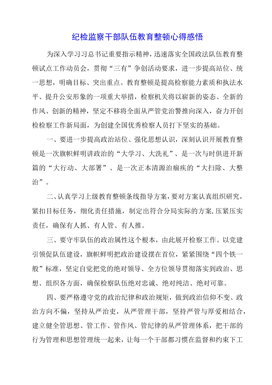 2023年纪检监察干部队伍教育整顿心得感悟.docx_第1页