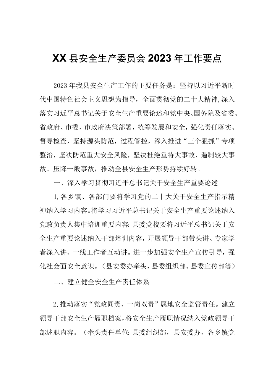 XX县安全生产委员会2023年工作要点.docx_第1页