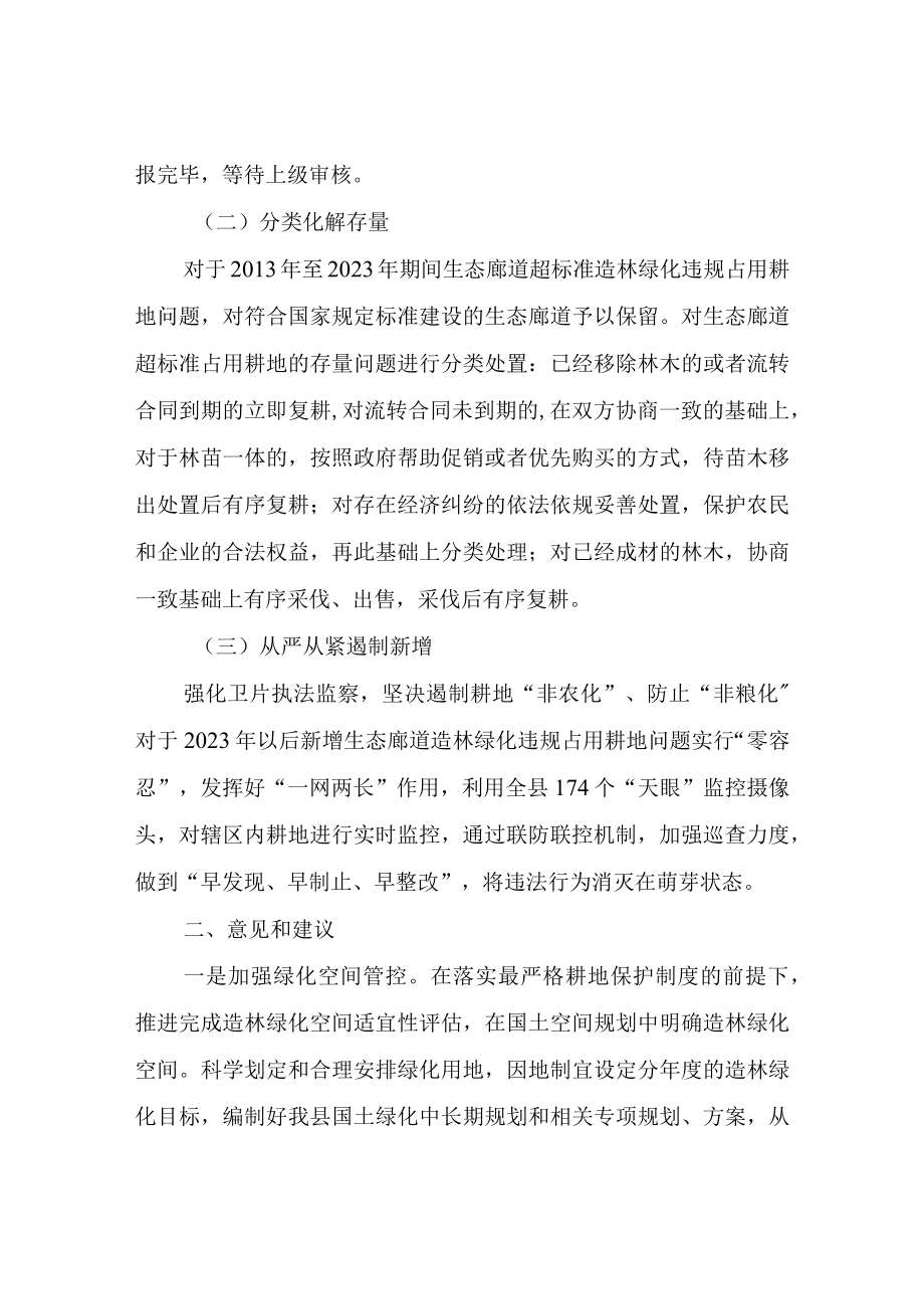 XX县自然资源局林长制落实情况自查报告.docx_第2页