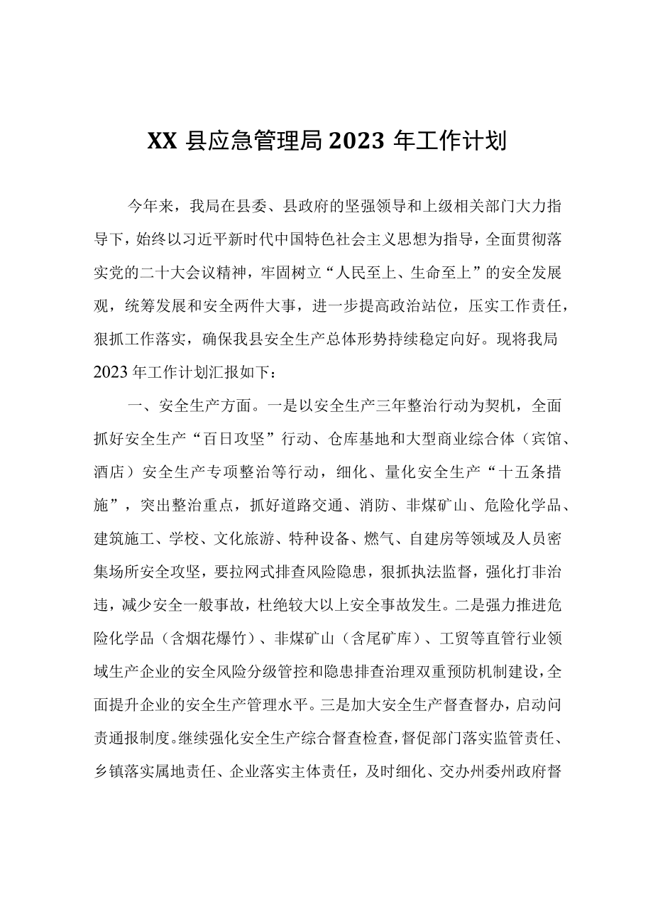 XX县应急管理局2023年工作计划.docx_第1页