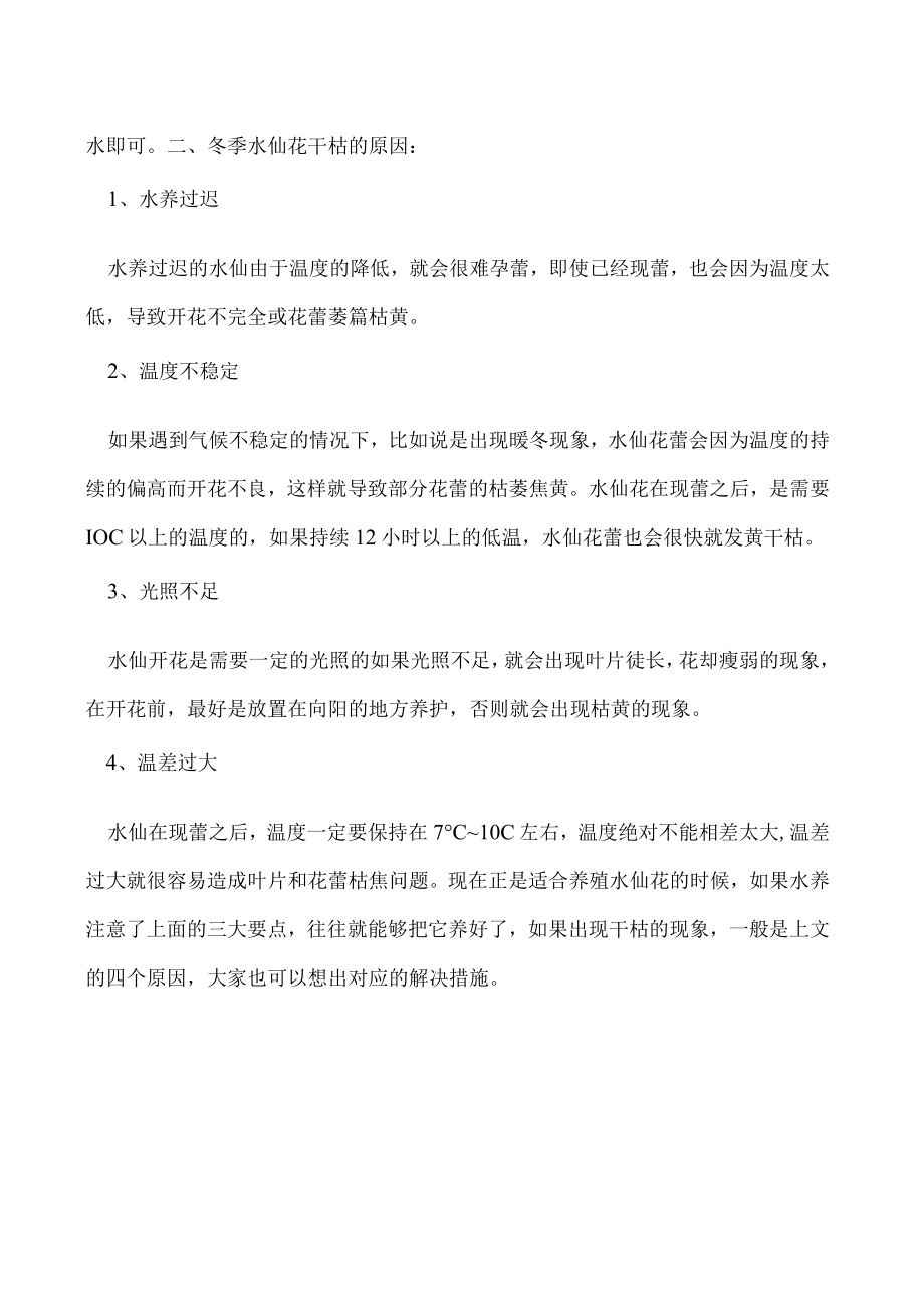 冬季水仙花怎么水养注意这三点就能安全过冬！.docx_第2页