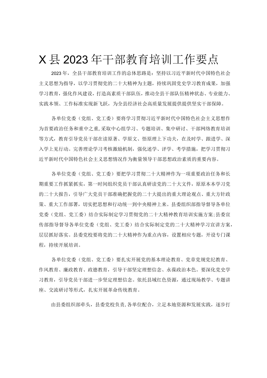 X县2023年干部教育培训工作要点.docx_第1页