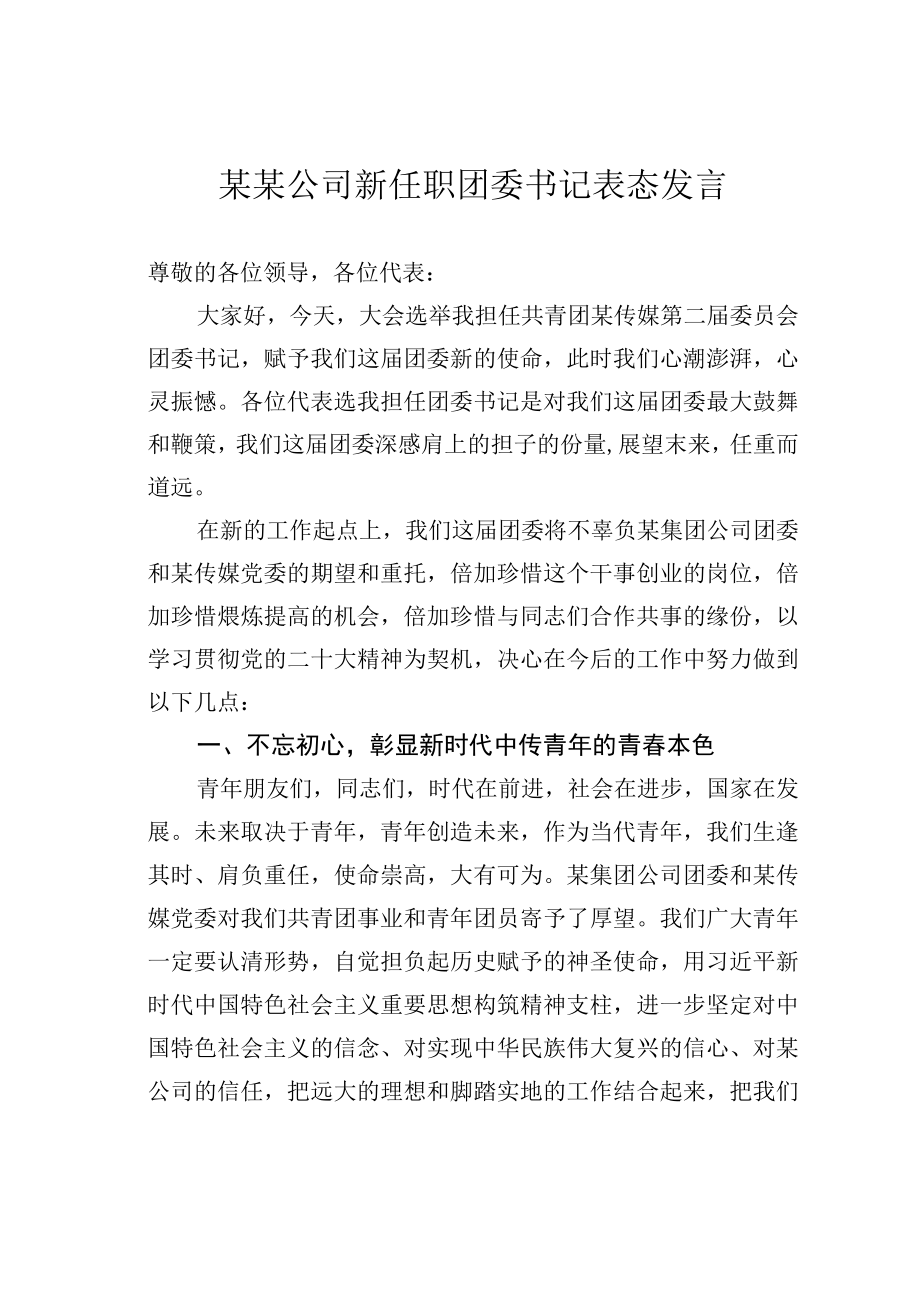 某某公司新任职团委书记表态发言.docx_第1页