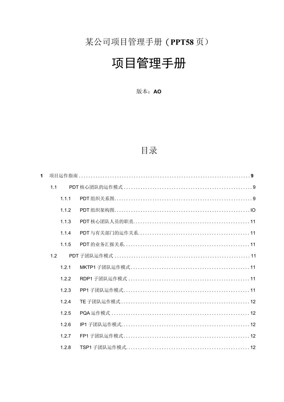 某公司项目管理手册(PPT 58页).docx_第1页