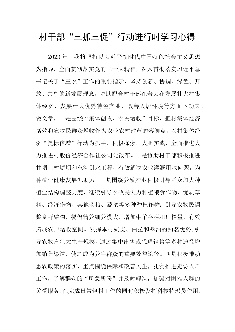 村干部三抓三促行动进行时学习心得.docx_第1页