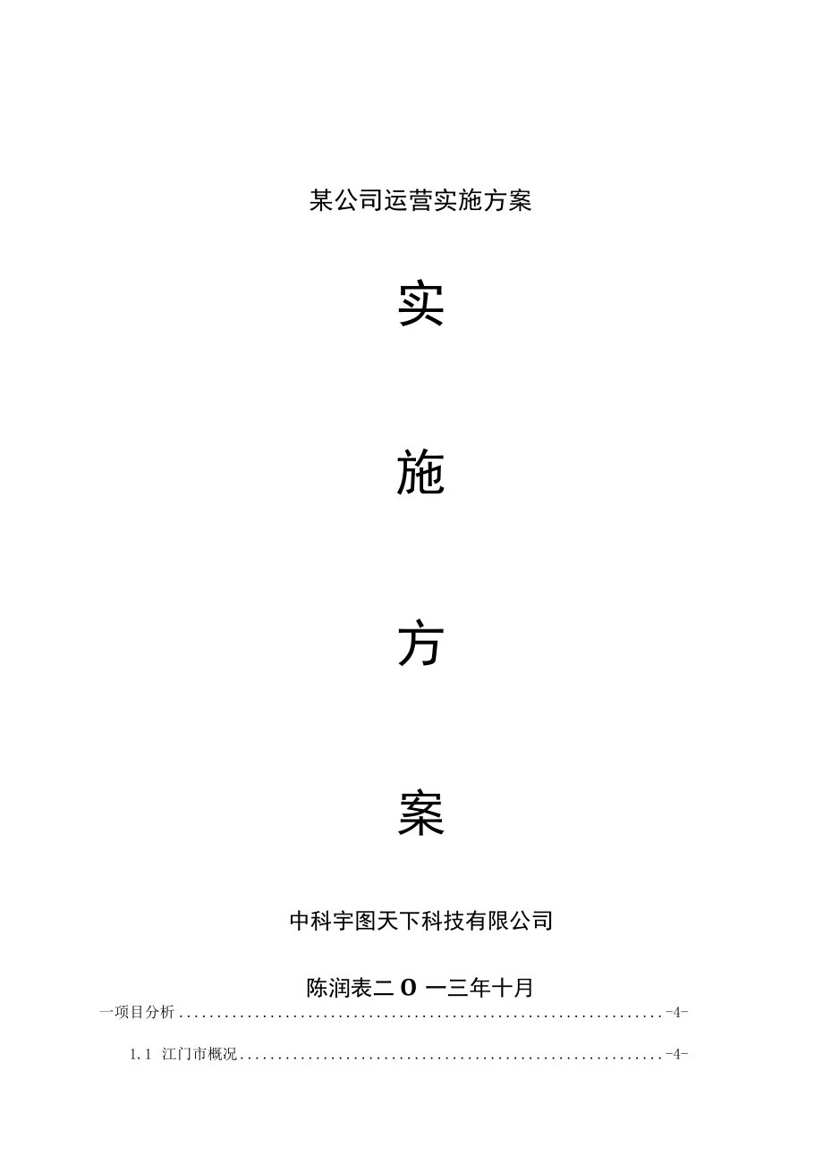 某公司运营实施方案.docx_第1页