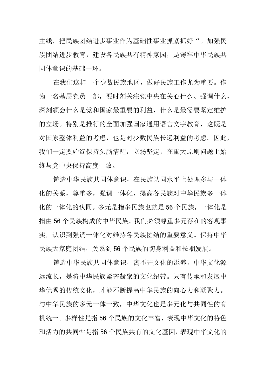 某区人大常委会副主任铸牢中华民族共同体意识研讨材料.docx_第2页