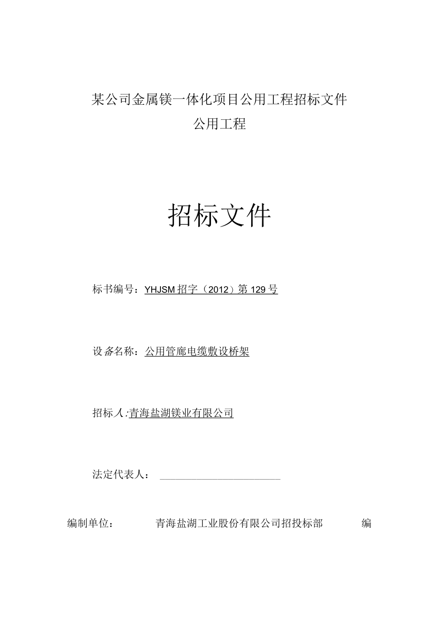 某公司金属镁一体化项目公用工程招标文件.docx_第1页