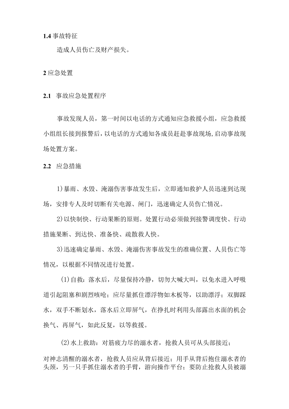 暴雨水毁淹溺事故.docx_第2页