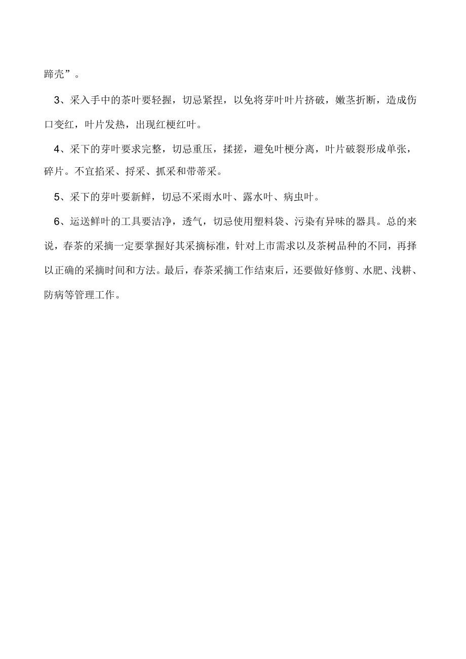 春茶采摘的时间方法及注意事项.docx_第2页