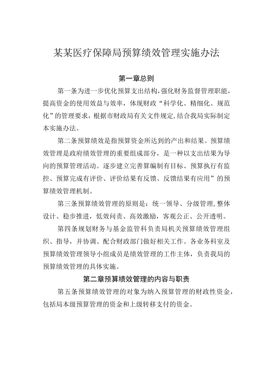 某某医疗保障局预算绩效管理实施办法.docx_第1页