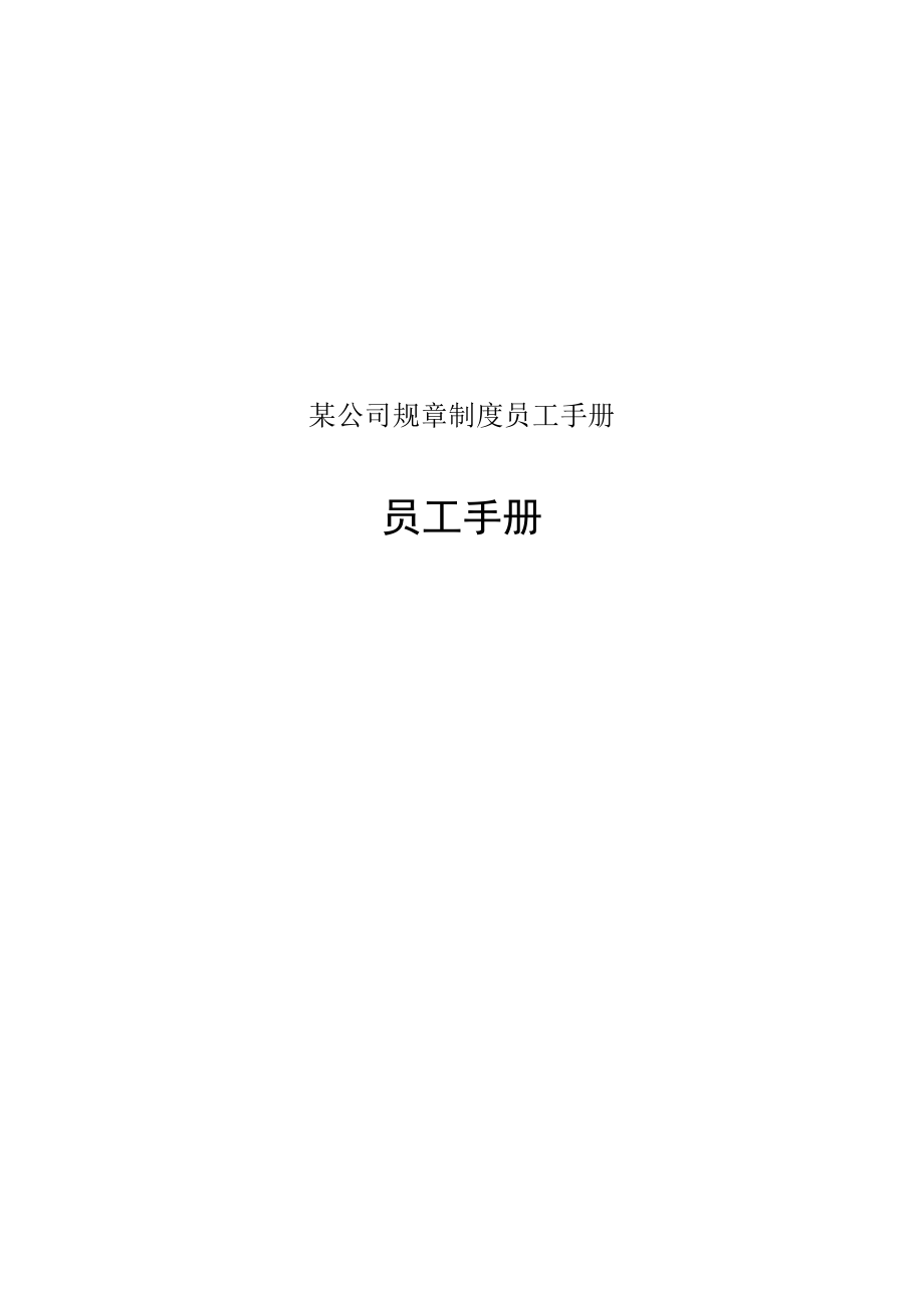 某公司规章制度员工手册.docx_第1页