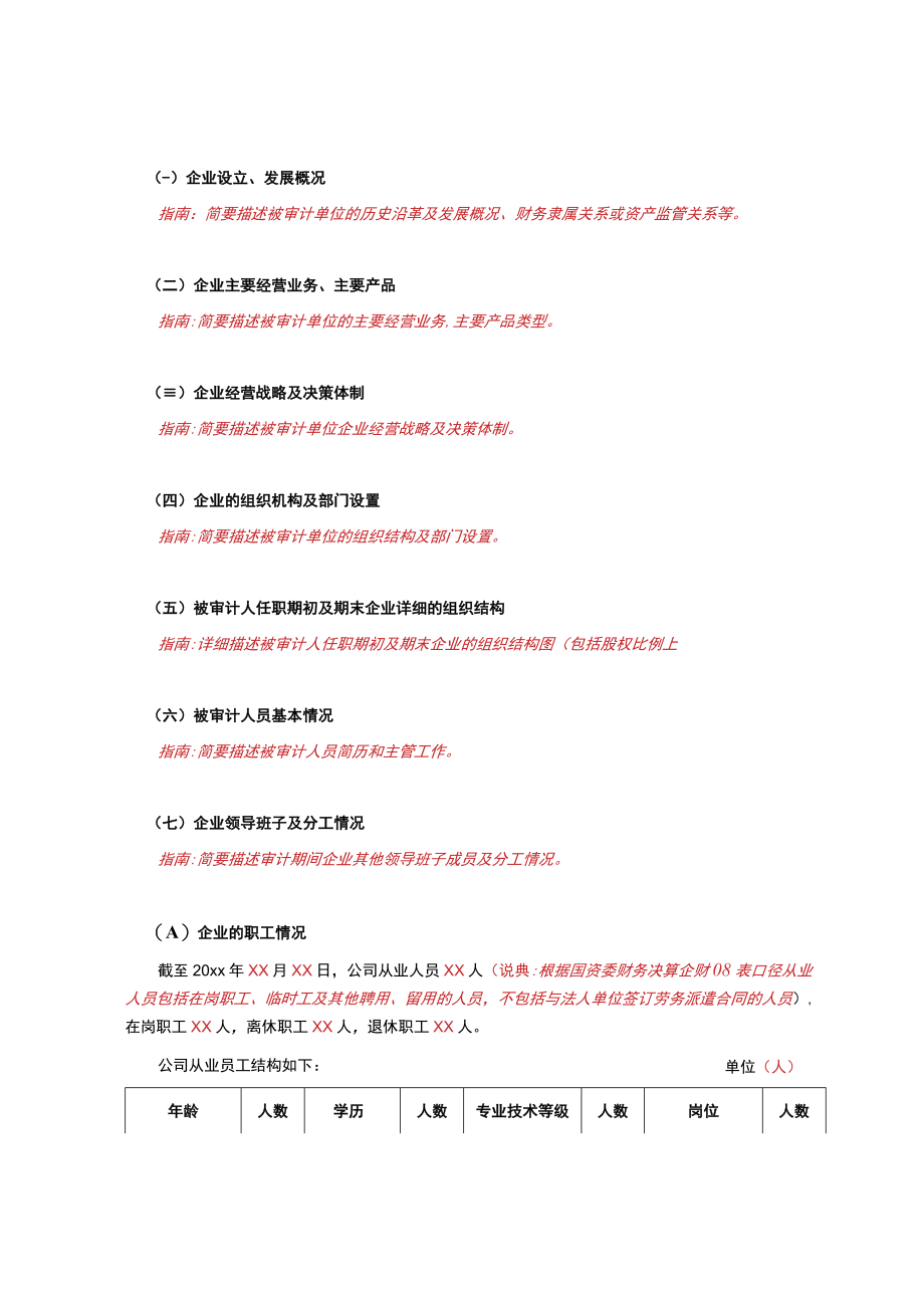 某集团经济责任审计审前调查及审计实施方案报告.docx_第2页