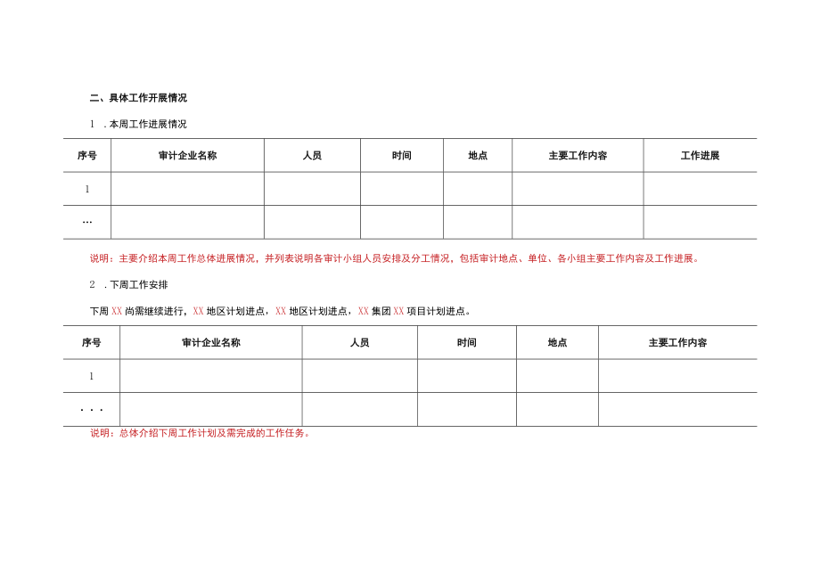 某集团经济责任审计项目周报.docx_第2页