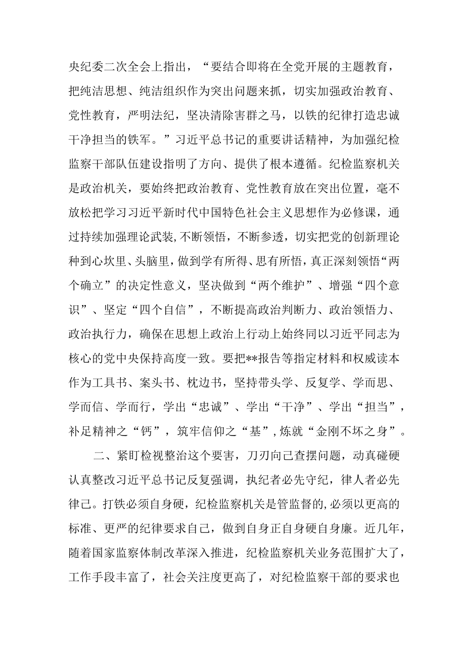 某纪委书记关于纪检监察干部队伍教育整顿的研讨发言材料.docx_第2页