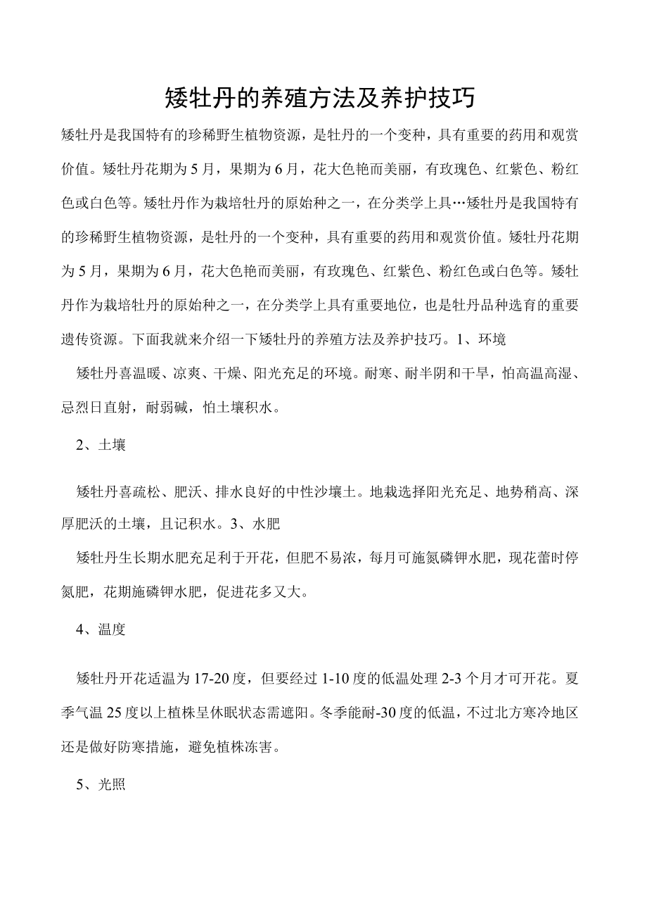 矮牡丹的养殖方法及养护技巧.docx_第1页