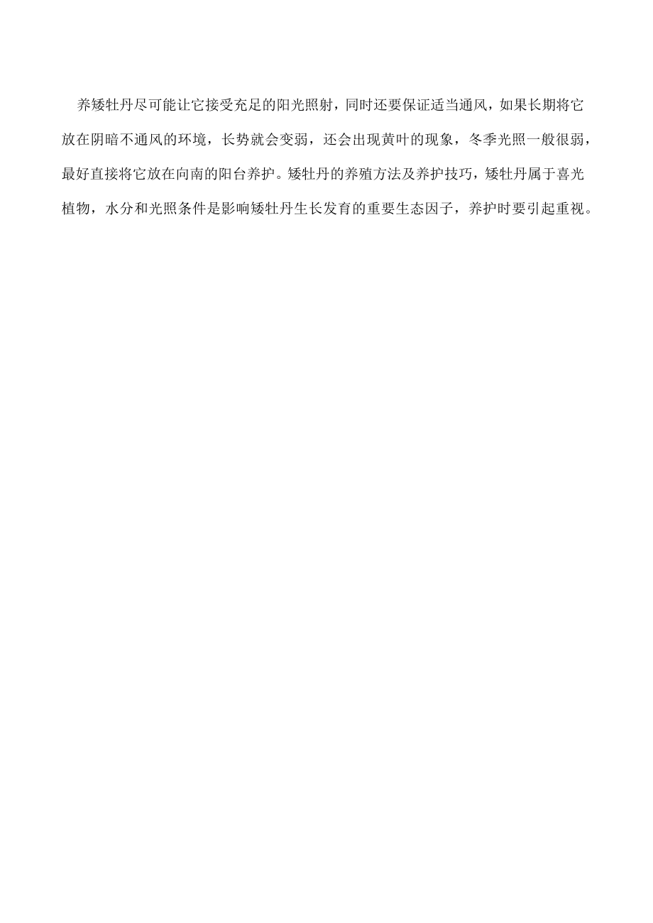 矮牡丹的养殖方法及养护技巧.docx_第2页